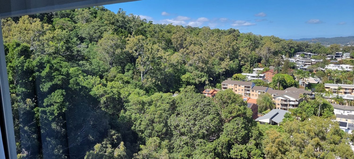 Balcony views of the Gold Coast Hinterland and Burleigh Hill 2 Bedroom Hinterland apartment Gold Coast Accommodation