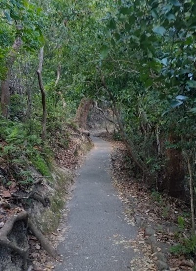 National Parks on The Gold Coast, Waves, Surfing and breath-taking views. Burleigh Heads