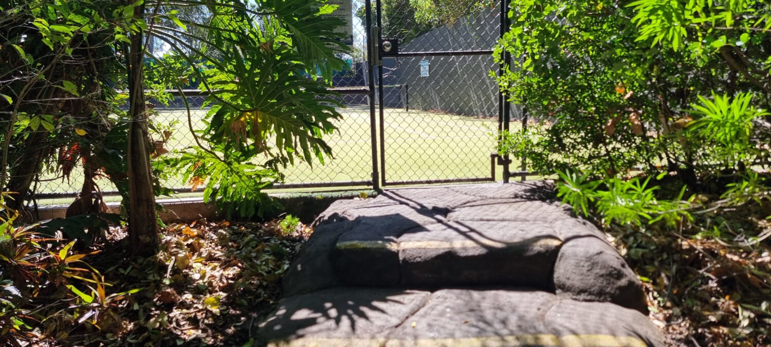 Surrounded by nature