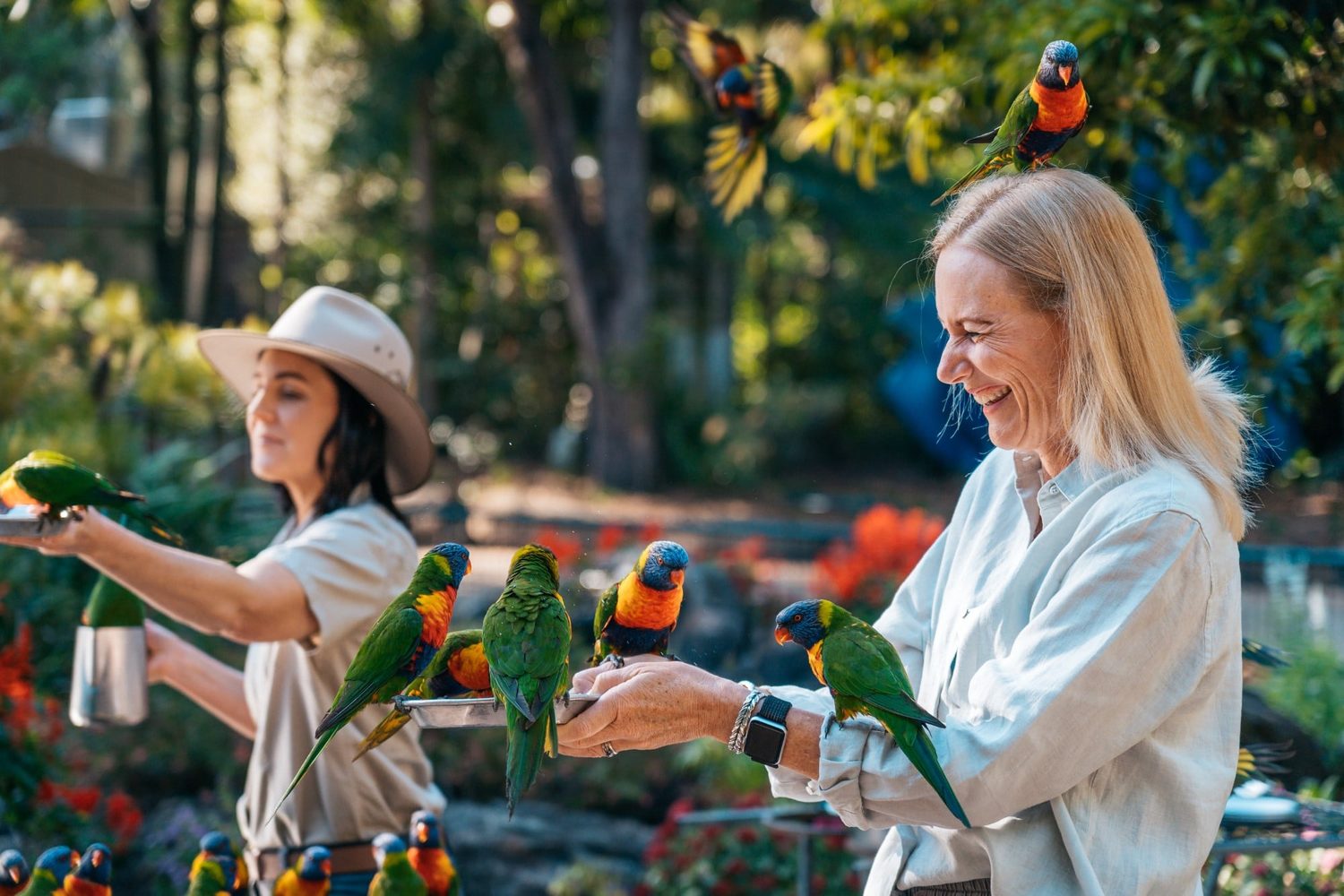 Currumbin Wild Life Sanctuary come and feed the birds and enjoy the animals
